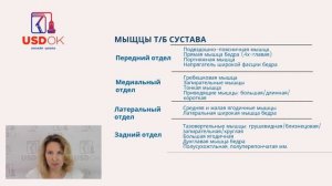 Видео урок УЗИ тазобедренного сустава   анатомия