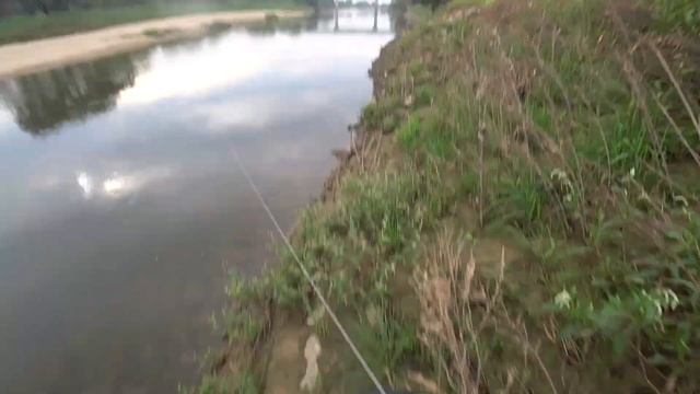 Осечка, катушка подвела, Рыбалка с рогаткой на Сазана. смотреть онлайн