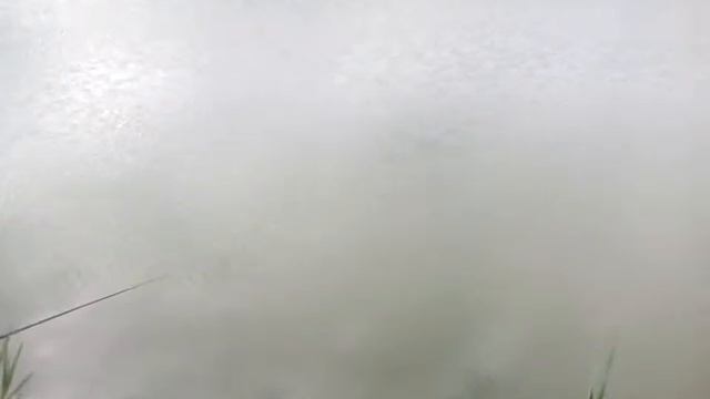 Рыбалка на Елагином пруду в Ставрополе 11.05.17 смотреть онлайн