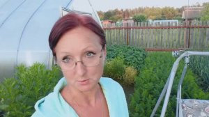 Видео привет с 6 соток 17 июля 2023 года