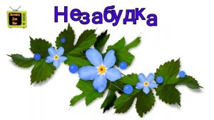 АВТОМАТИЗАЦИЯ ЗВУКА [З] /БУКВА З/ Логопед 0+ learn Russian language