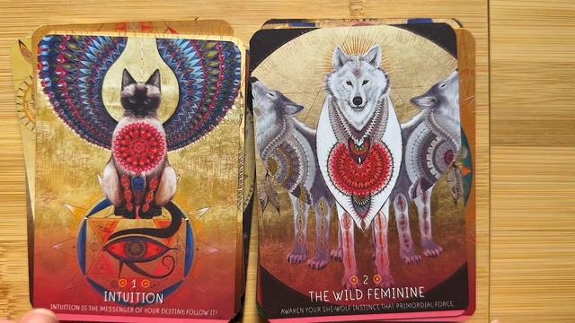 Знахарка. Обзор оракула. The Medicinal Woman. Wisdom Oracle cards. смотреть онлайн