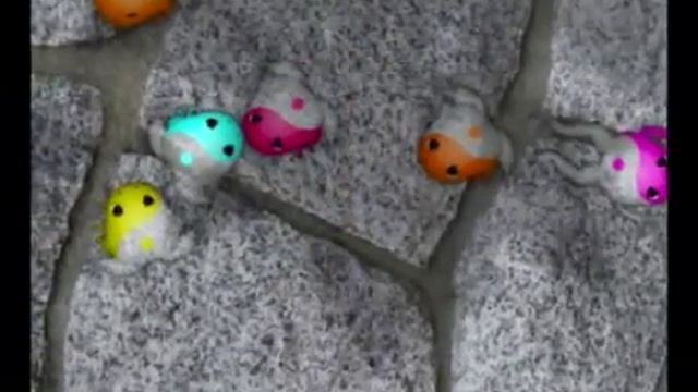 pocket frogs chroma frogs смотреть онлайн