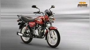 BOXER BAJAJ BM 150 v/s TVS HLX 150