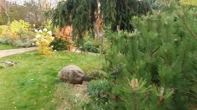 Осень в моём саду. смотреть онлайн