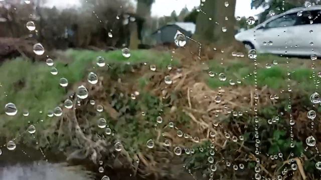 Капли Росы Словно Бусинки на Паутине / Макросъёмка #youtubvideo #microworld #микромир смотреть онлайн