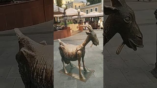#shorts Famous #goat Nizhny Novgorod 800 21_08_2021 Знаменитая #коза Нижний Новгород 800 21_08_2021 смотреть онлайн