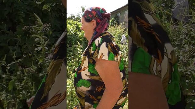 Бабушка идёт к соседке