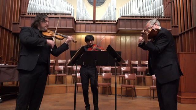 Strings Ensemble Music Concert смотреть онлайн