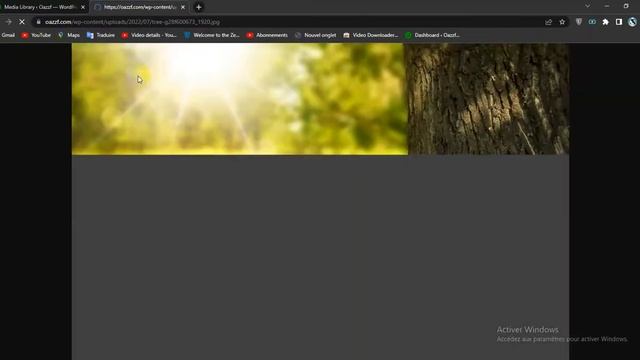 How To Get The URL of Files you Upload in WordPress смотреть онлайн