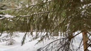 Истра зимой ❄️🐶👧 Отель «Истра Holiday»