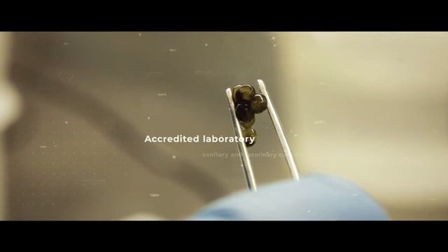 Aquatir presentation 2022 смотреть онлайн