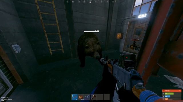 Rust Staging Bug Report | Trainyard Coal Tower Bear Passthrough смотреть онлайн