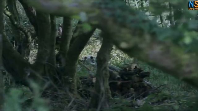 Film Action Terbaik - Film Aksi Terbaik - Film Laga Terbaik Sub Indo смотреть онлайн
