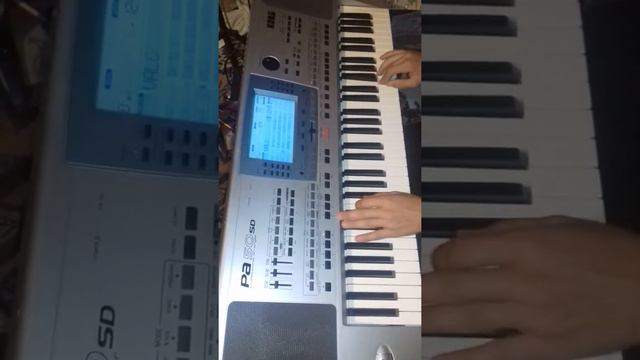 (NÜSRET XIZILI) AZERİ XALQ MUSİQİSİ( SARİ GELİN )KORG PA 50 SD смотреть онлайн