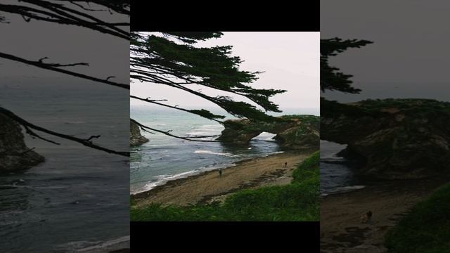 1000007062.mp4 смотреть онлайн