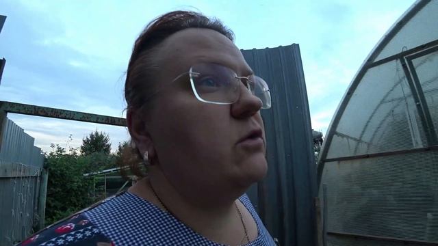 Ведро огурцов. Кольраби. Икра в автоклаве. Пасмурная погода. Цветут лилии. Абрикос. Кусачие гуси. смотреть онлайн