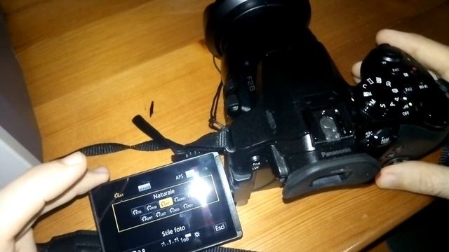Lumix FZ300 Lut смотреть онлайн