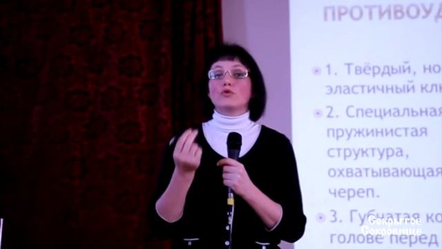 Дятел против Дарвина смотреть онлайн