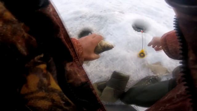 КАРАСИ-ЛАПТИ/ Зимняя рыбалка на проточном озере! смотреть онлайн