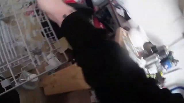 zvesda sa 22 Greyhound unboxing смотреть онлайн