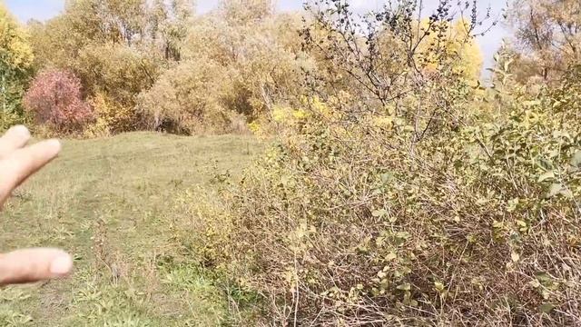 ВЗГЛЯНИ ЧТО Я НАШЕЛ НА ЦАРСКИХ КАЗАРМАХ 19 ВЕКА! МОНЕТЫ, ПРЕДМЕТЫ. Коп поиск монет металлоискатель смотреть онлайн