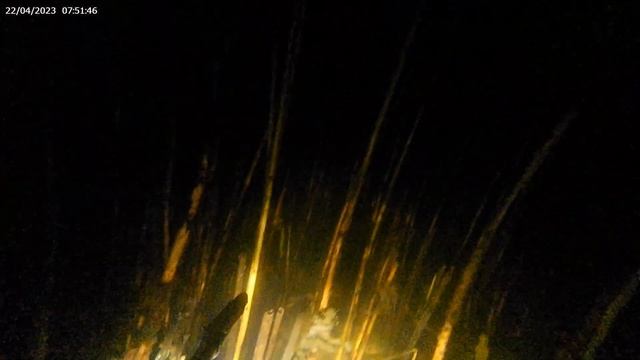 Подводная охота на Ладоге. смотреть онлайн