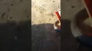 Неисправность масляного насоса на бензопиле