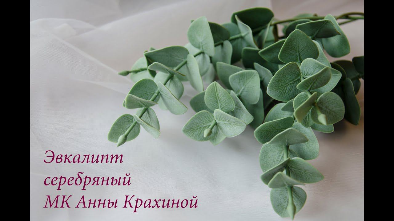 Эвкалипт из холодного фарфора с яркими прожилками! МК Анны Крахиной.