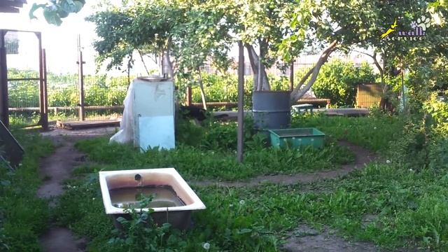 Немецкая овчарка, странное поведение смотреть онлайн