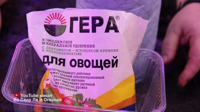Почему я раньше не додумалась до этого ?! РАССАДА В УЛИТКЕ ПО - НОВОМУ. Улучшенный способ. смотреть онлайн