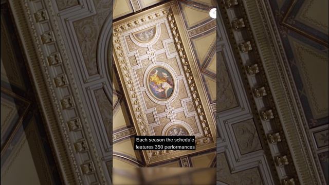 Vienna State Opera: Experience the Magic #shorts смотреть онлайн