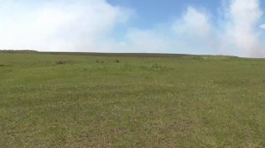 Охота на Сусликов в степях