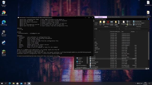 Como Hostear un Servidor de Minecraft - Sin Abrir Puertos - Rápido y Fácil - Gratis - 2021 смотреть онлайн