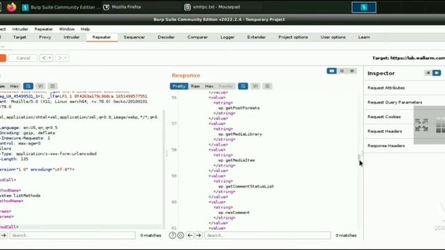 XMLRPC.php on lab.wallarm.com смотреть онлайн