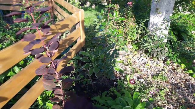 Холодное 2 сентября смотреть онлайн