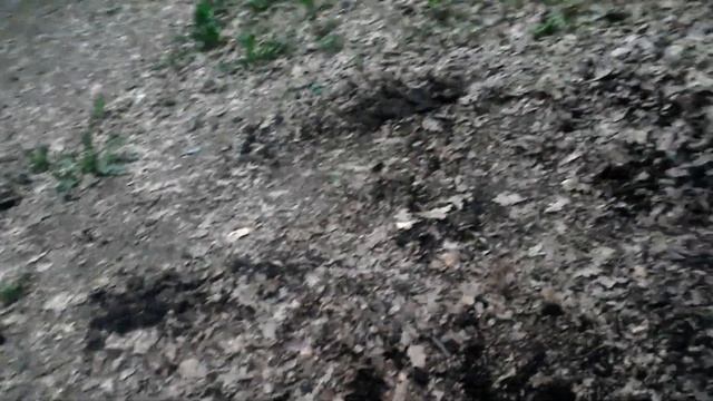 поиск с металлоискателем в городе серия 3. Коп в городе. Как не нужно искать. смотреть онлайн