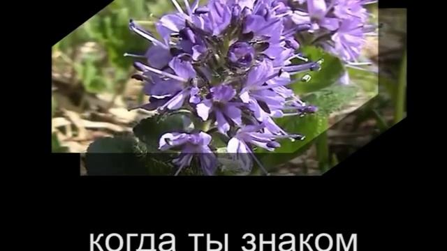 Радость в сердце каждый день живёт смотреть онлайн