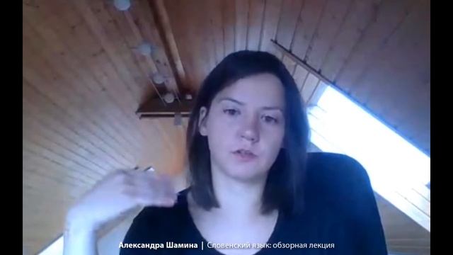 Словенский язык Обзорная лекция - Александра Шамина смотреть онлайн