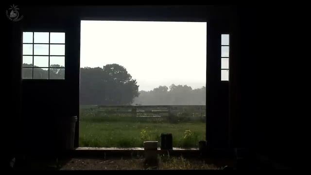 ? Farm Ambient Sounds with Birds, Cattle and Rain on a Barn Roof. Perfect Ambience for Relaxation. смотреть онлайн