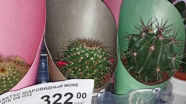 ✅ЛЕРУА МЕРЛЕН?НОВИНКИ В СЕНТЯБРЕ! ТОЛЬКО ТУТ Я ИХ НАШЛА❗МЕБЕЛЬ, ДЕКОР, ? ЦВЕТЫ? смотреть онлайн