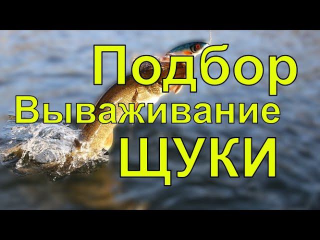 Вываживание щуки прыжки и свечи зубастой. смотреть онлайн