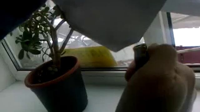 Пленка ПВХ.flv смотреть онлайн