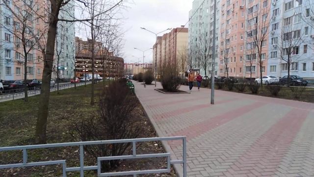 Собака рвалась к амстаффу но её не подпустили смотреть онлайн