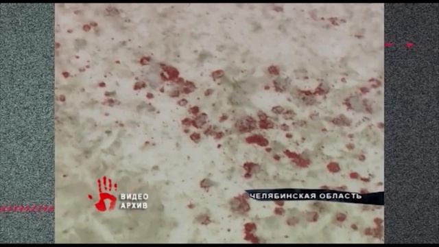 Охотнику, который застрелил челябинского бизнесмена в лесу, смягчили приговор смотреть онлайн