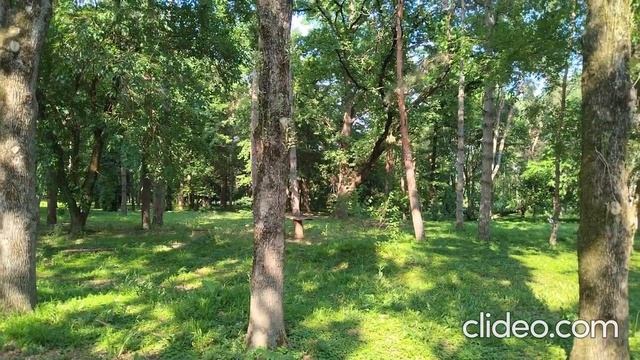 Суть сознания Стихотворение Автор Александр Григорьев. смотреть онлайн