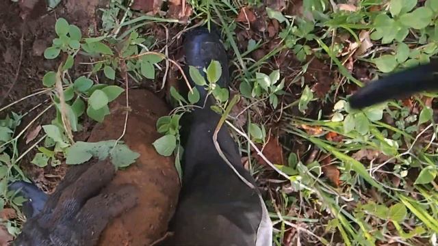 Открытие сезона началось с опасной находки. смотреть онлайн