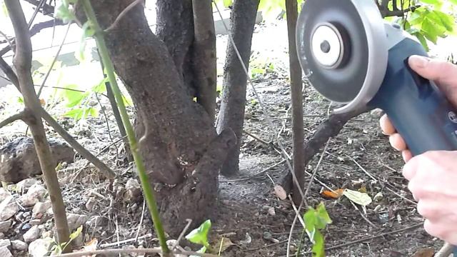 Шайтан-диск Bosch Carbide Multi Wheel, Ч - III: GWS 18 V-LI, 5Ah - безопасная отрезка сучка смотреть онлайн