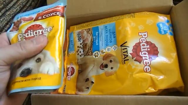 Бесплатный корм для щенков от Pedigree смотреть онлайн