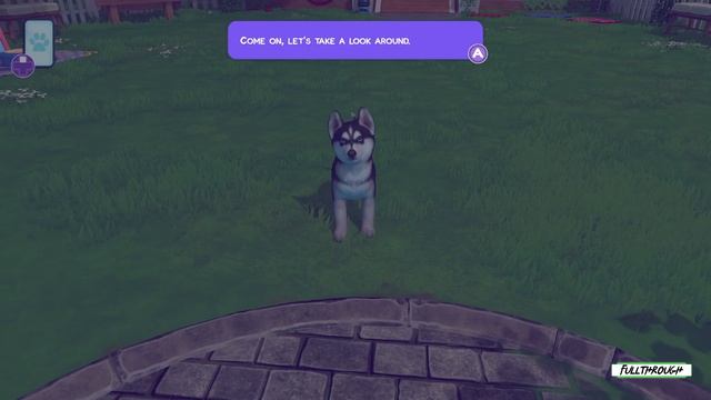 Little Friends Puppy Island Gameplay HD (PC) | NO COMMENTARY смотреть онлайн